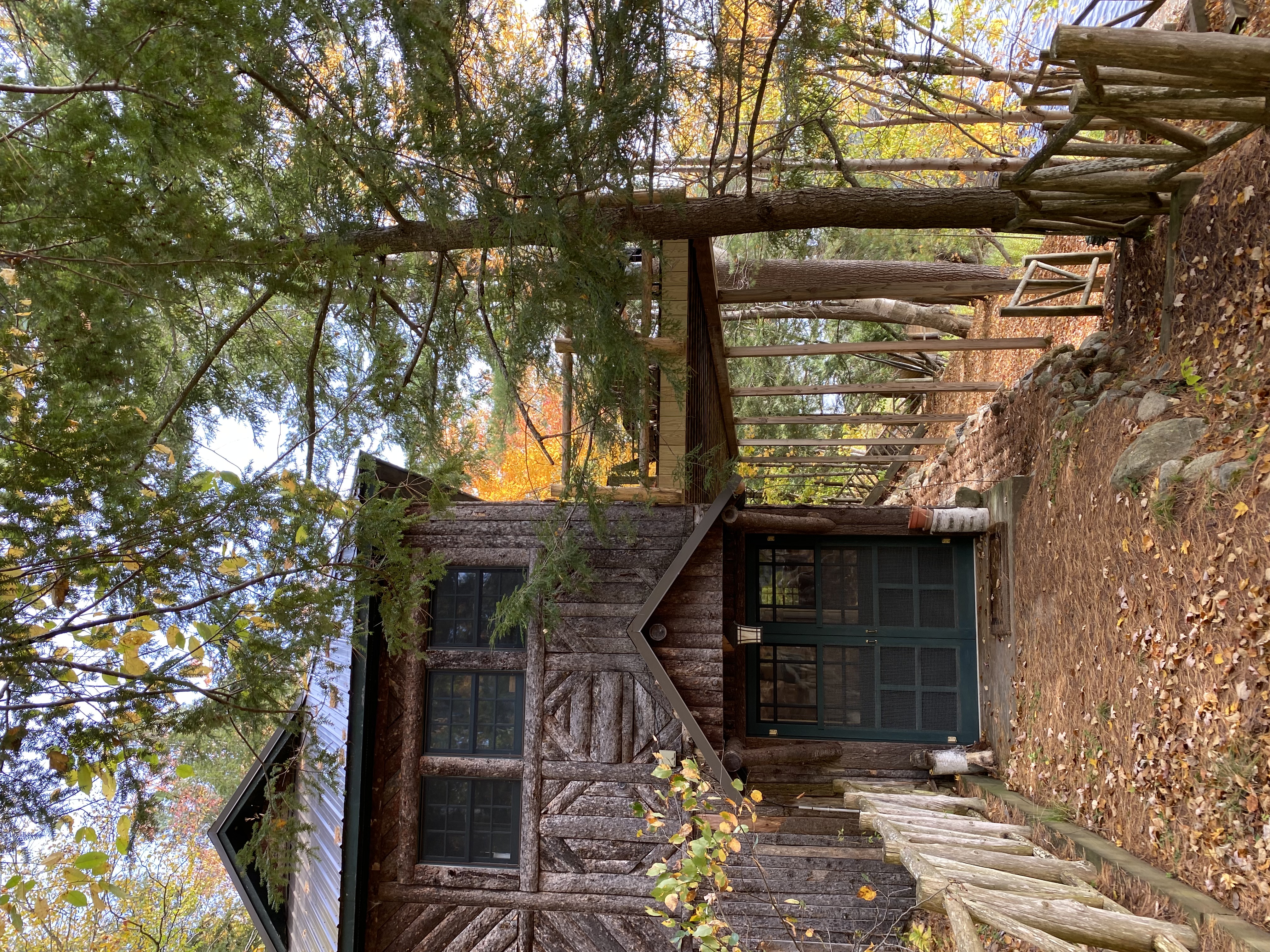 The Cabin